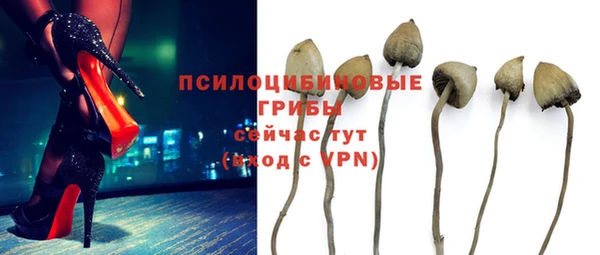 спайс Беломорск
